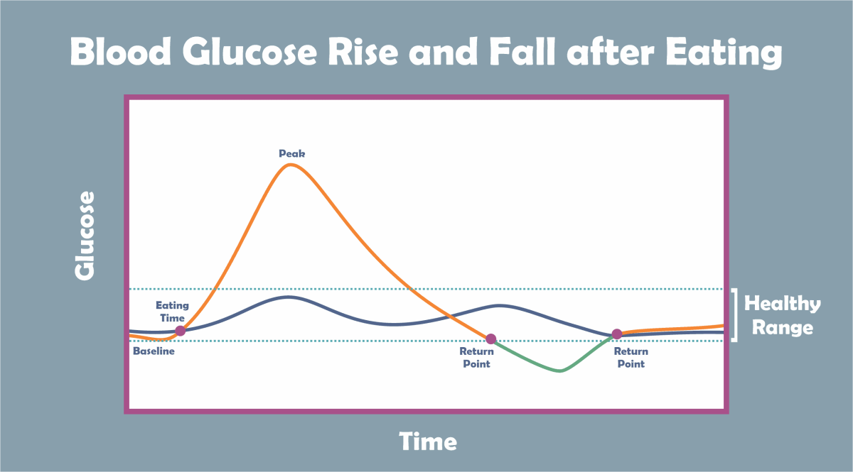 Intermittent fasting - Rise and Fall of blood glucose level after eating and while fasted.