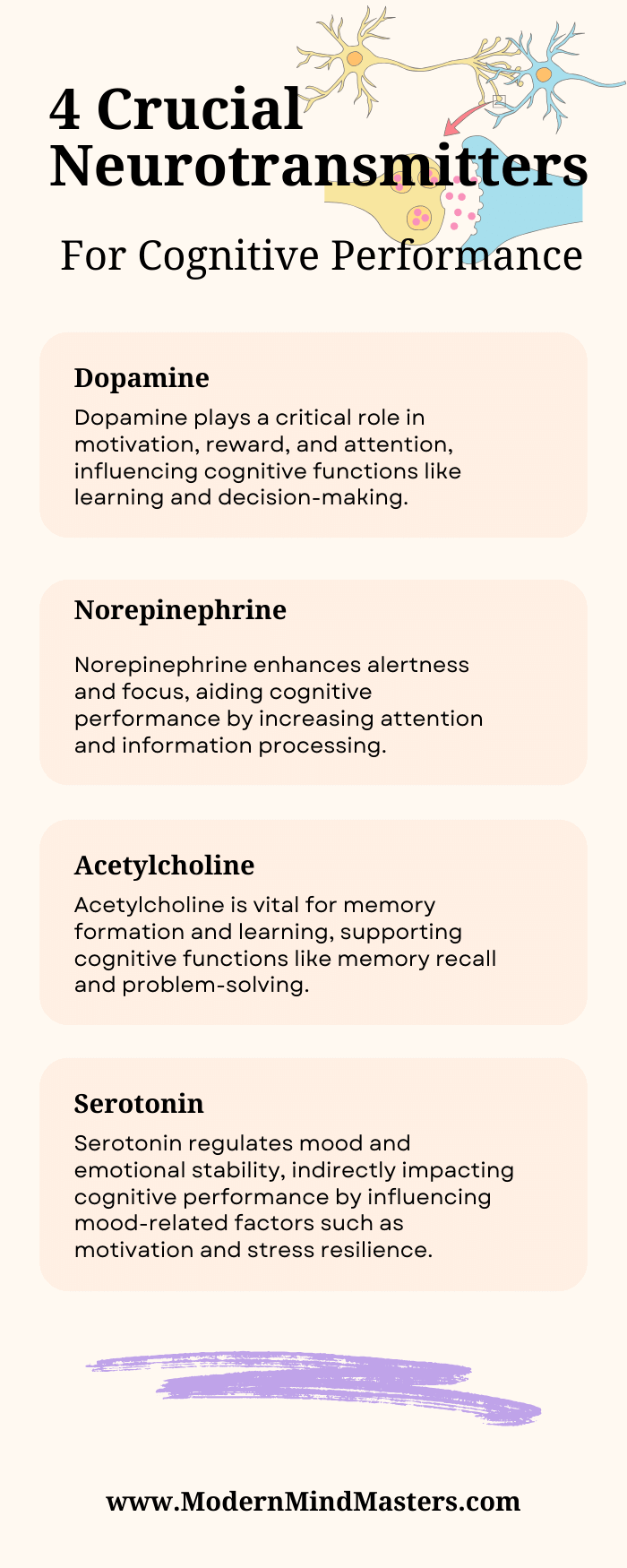 Neurotransmitters such as dopamine, serotonin, norepinephrine, and acetylcholine, are critical for cognitive performance