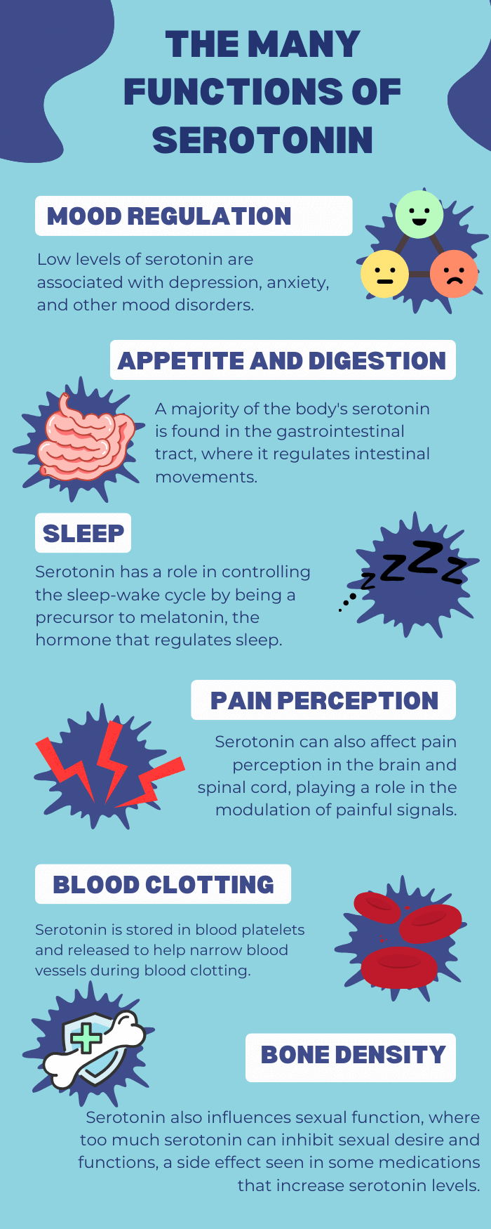 Serotonin has many crucial functions in both the CNS and the gastrointestinal tract.
