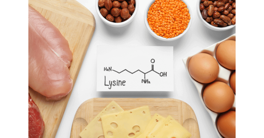 L-lysine anxiety Supplement