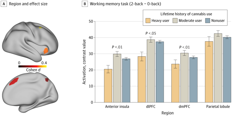 Brain activation per different degrees of cannabis use.