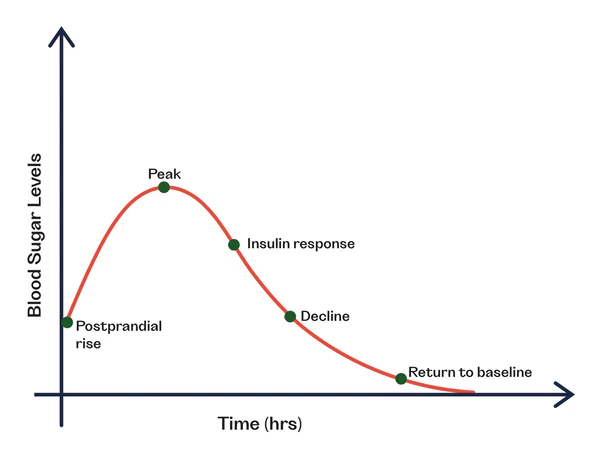 Insulin response to glucose