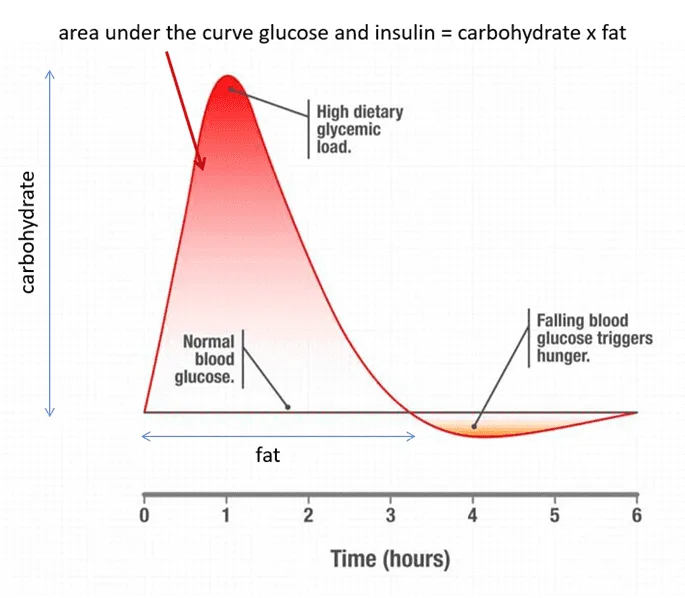 Insulin response to glucose