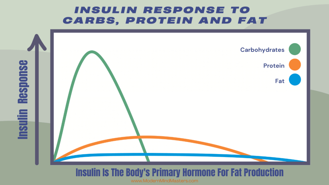 insulin response to carbs, fat, and protein