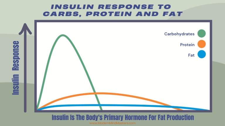 insulin response to carbs, fat, and protein