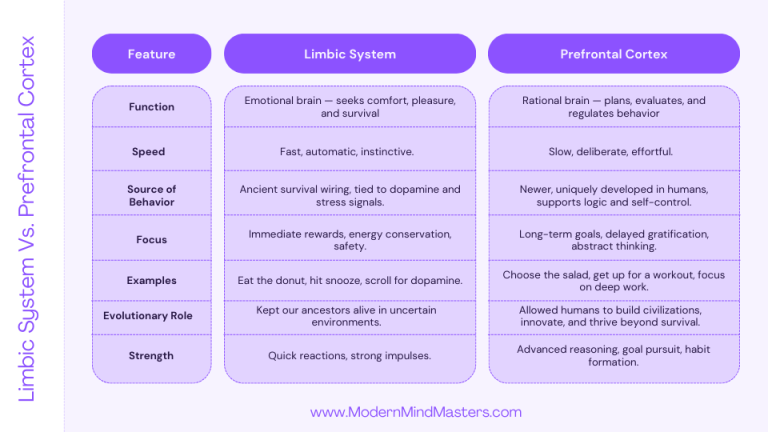 Differences between the limbic system and the prefrontal cortex.