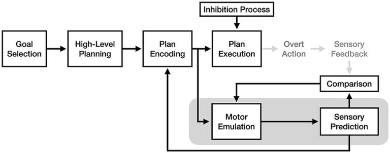 Flow diagram of how mental imagery creates a sensory feedback system.