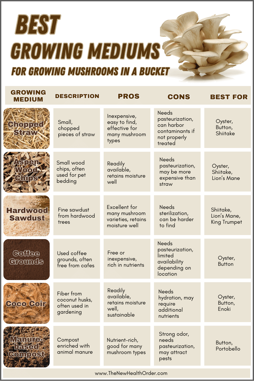 Best Growing Mediums for Growing Mushrooms in a Bucket