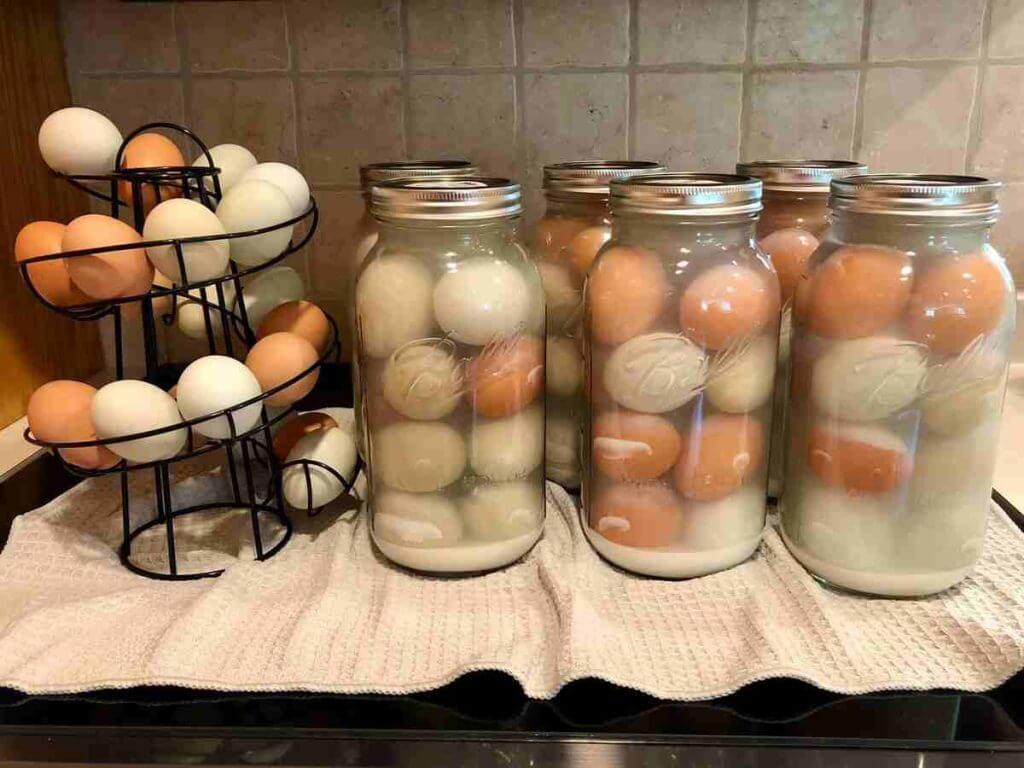 Water glassing egg preservation - featured image