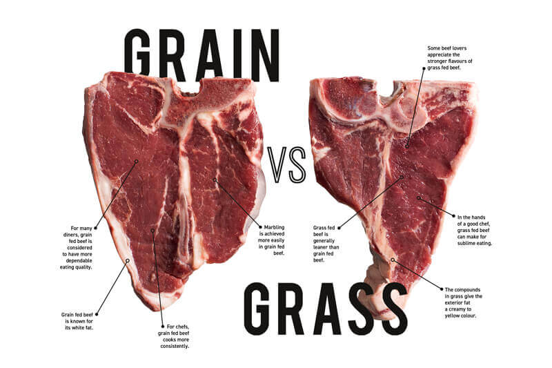 differences between grain fed and grass fed cuts of meat