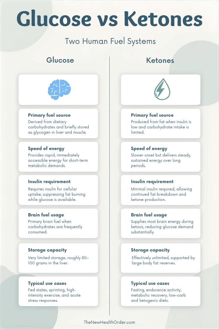 Glucose vs Ketones Infographic – Clean Design (1)